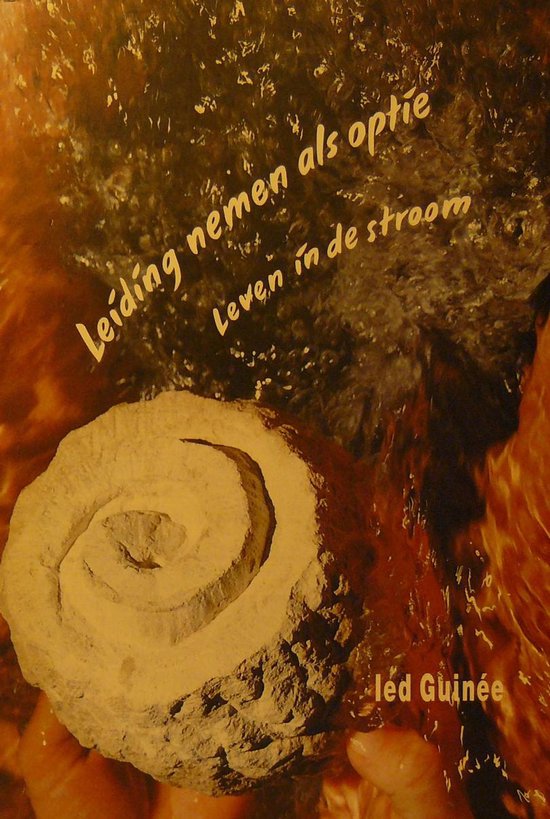 9789051702842 - LEIDING NEMEN ALS OPTIE. LEVEN IN DE STROOM