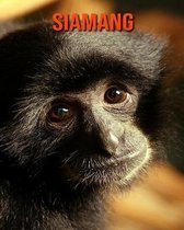 Siamang