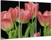 Peinture sur verre tulipes | Rouge, vert, noir | 120x80cm 3 Liège | Tirage photo sur verre |  F003197