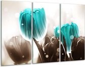 Glasschilderij Tulp - Blauw, Grijs - 120x80cm 3Luik - Foto Op Glas - Geen Acrylglas Schilderij - GroepArt 6000+ Glas Art Collectie - Maatwerk Mogelijk