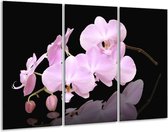 Glasschilderij Orchidee - Roze, Wit, Zwart - 120x80cm 3Luik - Foto Op Glas - Geen Acrylglas Schilderij - GroepArt 6000+ Glas Art Collectie - Maatwerk Mogelijk