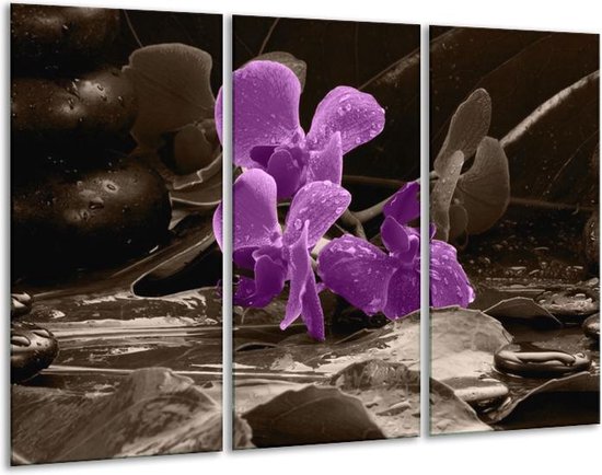 Peinture sur verre d'orchidée | Violet, gris | 120x80cm 3 Liège | Tirage photo sur verre |  F004498
