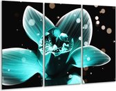 Glasschilderij Bloem - Blauw, Zwart - 120x80cm 3Luik - Foto Op Glas - Geen Acrylglas Schilderij - GroepArt 6000+ Glas Art Collectie - Maatwerk Mogelijk