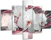 Glasschilderij -  Orchidee, Bloemen - Roze, Grijs, Wit - 100x70cm 5Luik - Geen Acrylglas Schilderij - GroepArt 6000+ Glasschilderijen Collectie - Wanddecoratie- Foto Op Glas