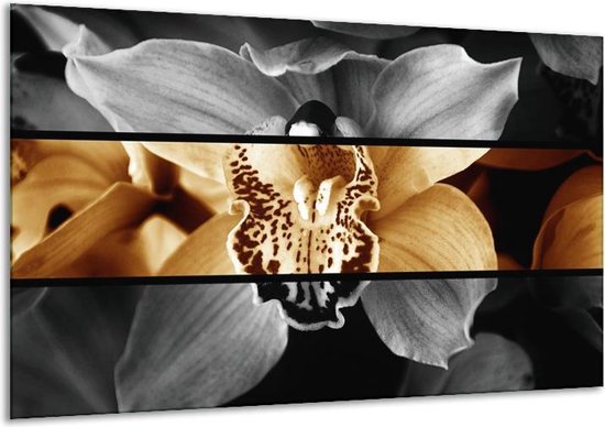Glasschilderij Orchidee - Sepia, Bruin - 120x70cm 1Luik - Foto Op Glas - Geen Acrylglas Schilderij - GroepArt 6000+ Glasschilderijen Art Collectie - Wanddecoratie - Woonkamer - Slaapkamer