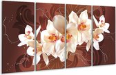 GroepArt - Glasschilderij - Orchidee - Bruin, Crème - 160x80cm 4Luik - Foto Op Glas - Geen Acrylglas Schilderij - 6000+ Glasschilderijen Collectie - Wanddecoratie