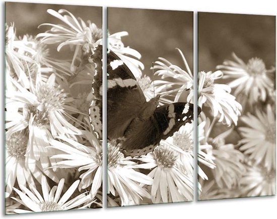Glasschilderij Bloemen, Vlinder - Sepia, Bruin - 120x80cm 3Luik - Foto Op Glas - Geen Acrylglas Schilderij - GroepArt 6000+ Glas Art Collectie - Maatwerk Mogelijk