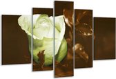 Glasschilderij Bloem - Wit, Bruin, Groen - 170x100cm 5Luik - Foto Op Glas - Geen Acrylglas Schilderij - 6000+ Glasschilderijen Collectie - Wanddecoratie