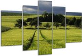 Glasschilderij Natuur - Groen, Blauw, Wit - 170x100cm 5Luik - Foto Op Glas - Geen Acrylglas Schilderij - 6000+ Glasschilderijen Collectie - Wanddecoratie