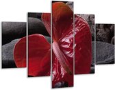 Glasschilderij -  Spa - Rood, Grijs, Zwart - 100x70cm 5Luik - Geen Acrylglas Schilderij - GroepArt 6000+ Glasschilderijen Collectie - Wanddecoratie- Foto Op Glas