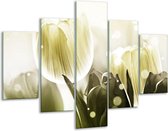 Glasschilderij -  Tulp - Wit, Grijs - 100x70cm 5Luik - Geen Acrylglas Schilderij - GroepArt 6000+ Glasschilderijen Collectie - Wanddecoratie- Foto Op Glas