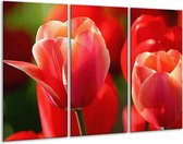 GroepArt - Schilderij -  Tulpen - Rood, Wit, Zwart - 120x80cm 3Luik - 6000+ Schilderijen 0p Canvas Art Collectie
