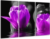 GroepArt - Schilderij -  Tulpen - Paars, Zwart, Grijs - 120x80cm 3Luik - 6000+ Schilderijen 0p Canvas Art Collectie