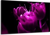 Peinture sur toile Tulipe | Violet, noir, blanc | 140x90cm 1 Liège