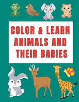 Color & Learn Animals and Their Babies