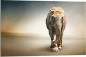 Dibond - Sjokkende Olifant - 90x60cm Foto op Aluminium (Wanddecoratie van metaal)