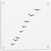 Tuinposter – Lijn Vogels - 50x50cm Foto op Tuinposter  (wanddecoratie voor buiten en binnen)