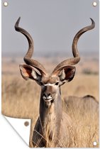 Grand kudu dans les hautes herbes affiche de jardin 60x90 cm - Toile de jardin / Toile d'extérieur / Peintures d'extérieur (décoration de jardin)