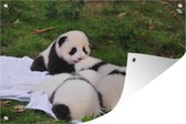 Muurdecoratie Panda's - Gras - Deken - 180x120 cm - Tuinposter - Tuindoek - Buitenposter