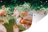 Tuinposter - Tuindoek - Tuinposters buiten - Flamingo's staan in het water - 120x80 cm - Tuin