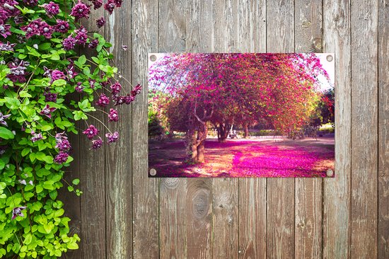 Affiche de jardin Lodi Gardens - Arbres en fleurs dans les jardins de Lodi en Inde poster de jardin toile en vrac 90x60 cm - Toile de jardin / Toile d'extérieur / Peintures pour l'extérieur (décoration de jardin)