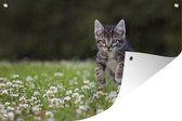 Tuinposters buiten Een kitten in een veld met klaver - 90x60 cm - Tuindoek - Buitenposter