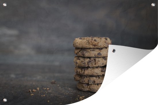 Biscuits aux morceaux de chocolat affiche de jardin toile en vrac 60x40 cm - petit - Toile de jardin / Toile d'extérieur / Peintures pour l'extérieur (décoration de jardin)