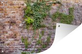 Tuinposter - Tuindoek - Tuinposters buiten - Klimplanten op een oude muur met bakstenen - 120x80 cm - Tuin