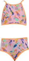 Woody Bikini vogels