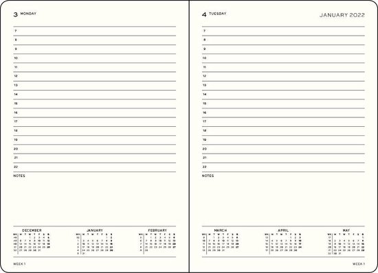 Certificaat web leven Leuchtturm - Agenda - 2022 - Daily planner - 1 dag per 1 pagina - 12  maanden - A4 -... | bol.com