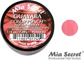 Color Punch Acrylpoeder Guayaba