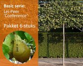 Lei-Peer 'Conference' - Basic - pakket 6 stuks + EXTRA'S!