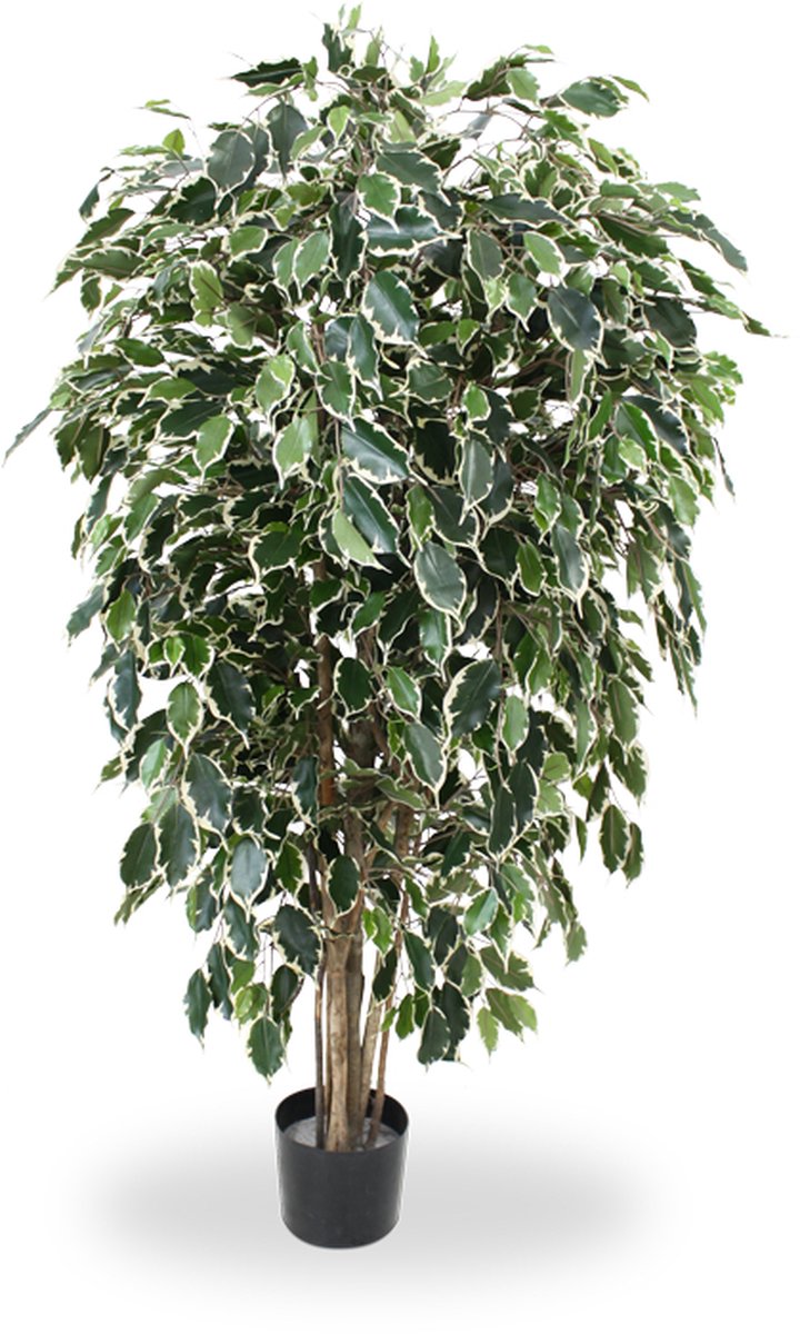 Ficus Exotica deluxe kunstboom 150cm - bont