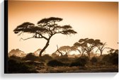 Canvas  - Afrikaanse Bomen onder Oranje Lucht - 60x40cm Foto op Canvas Schilderij (Wanddecoratie op Canvas)