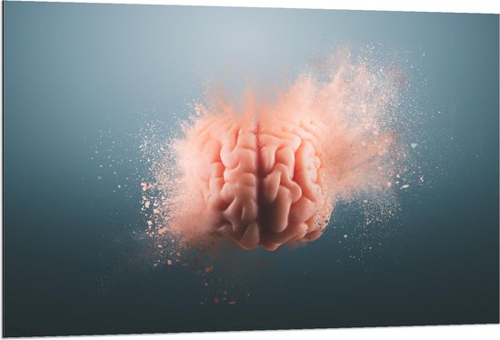 Dibond - Stuivende Hersenen - 120x80cm Foto op Aluminium (Wanddecoratie van metaal)