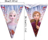 Vlaggenlijn Frozen met 12 vlaggen aan 1 lijn