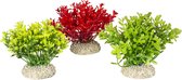 Aqua Della - Aquariumdecoratie - Vissen - Plant Glosso S - Height 9cm Gemengde Kleuren - 1st