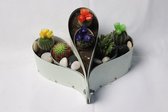 Bloempot op standaard - Michael meubels - bloempotten voor binnen - voor Kamerplanten liefhebbers - Modern Design Bloempot decoratie woonkamer - Mini Cactus Plant Pot Houder  - OS2OS2OS2