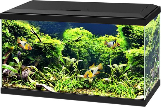 Ciano - Filtre Intérieur CF-80 pour Aquarium - Animalerie