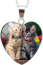 Verzilverde Bedel Kat | Bedel Hanger | Ketting  Poes/ Kat  | Hart Sierraad