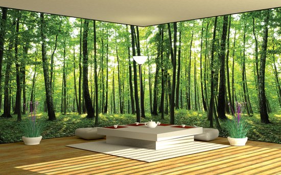 Papier peint Forêt polaire, Nature | Vert | GRAND 624x219cm