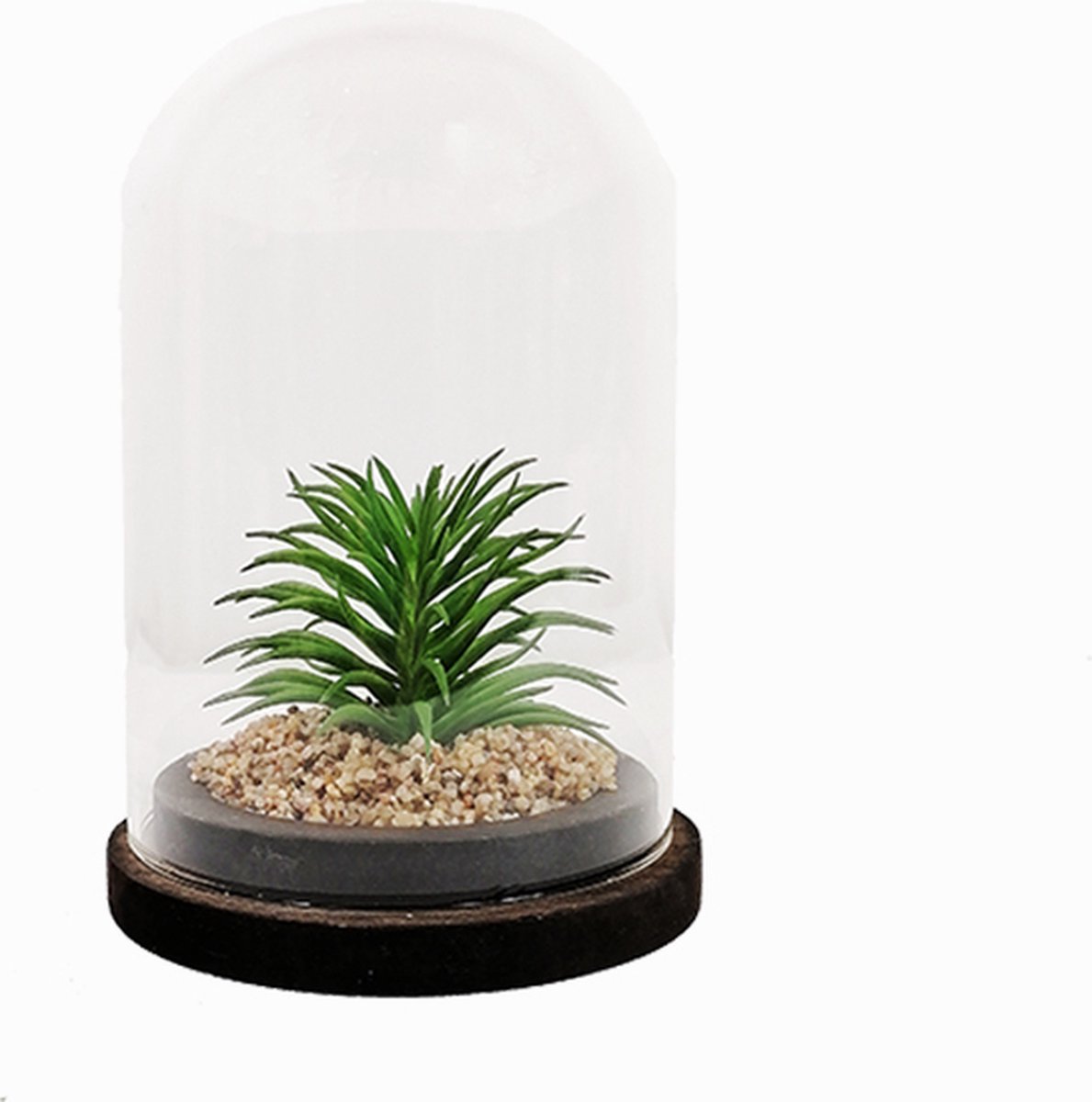 Kunstplant onder glazen stolp 13x19cm - Overig - Motif 3 - SILUMEN