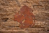 Cortenstaal Eekhoorn | 28x29cm(LxB) | Kunst van Staal | Eekhoorn | Cortenstaal muurdecoratie | dikte: 2mm | Roest | COR-TEN-staal | Roestkleurig | Tuindecoratie | Modern | Industri