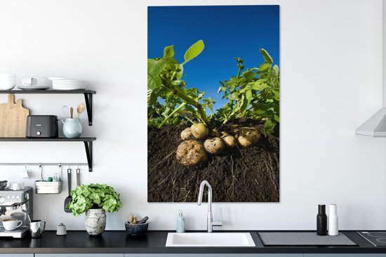 Canvas schilderij 90x140 cm - Wanddecoratie Aardappel - Modder - Planten - Bladeren - Muurdecoratie woonkamer - Slaapkamer decoratie - Kamer accessoires - Schilderijen