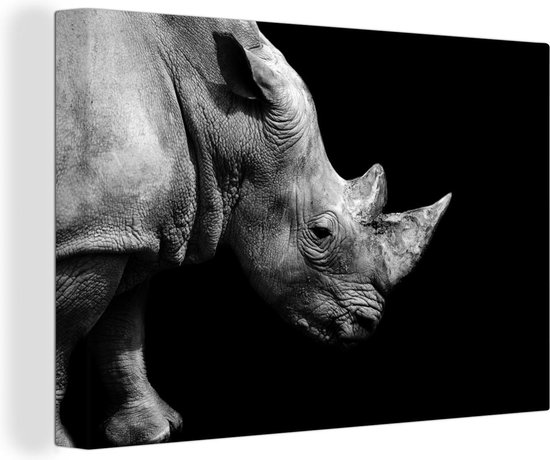 Tableaux sur toile - Portrait photo rhinocéros sur fond noir en noir et blanc - Peintures cm - Décoration murale