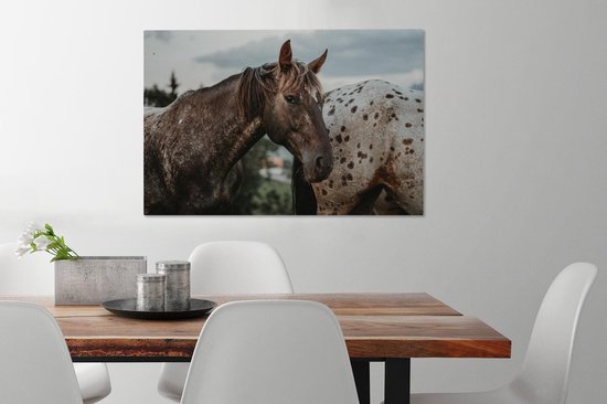 Appaloosa regarde la caméra 60x40 cm - impression photo sur toile (peinture Décoration murale salon / chambre à coucher) / Mammifères toile Peintures