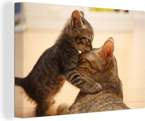 Chat câlin avec chaton 60x40 cm - Tirage photo sur toile (Décoration murale salon / chambre)