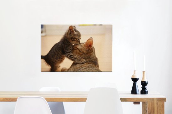 Chat câlin avec chaton 60x40 cm - Tirage photo sur toile (Décoration murale salon / chambre)