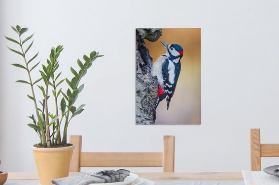 Gros plan d'un pic épeiche sur un tronc d'arbre 20x30 cm - petit - Tirage photo sur toile (Décoration murale salon / chambre)