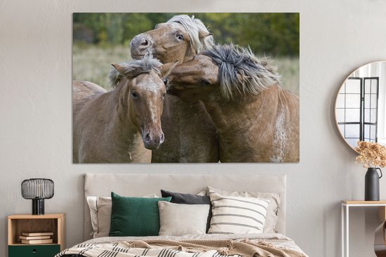 Tableau sur toile Trois chevaux du fjord jouant - 150x100 cm - Décoration murale
